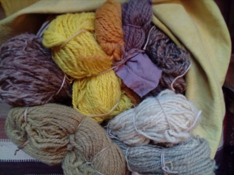 spinning and natural dyeing wool