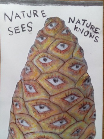 in defence of Marlhill Copse