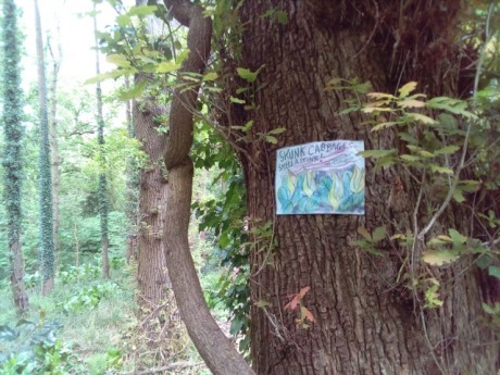 In defence of Marlhill Copse