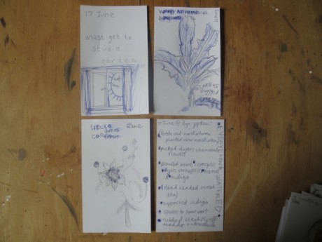 notes from the garden 6