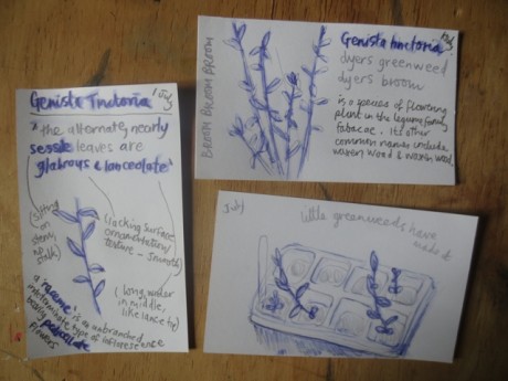notes from the garden 8