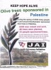 Palestinian olive tree sponsorship