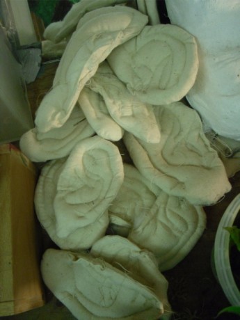 pile of id-ears..?